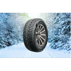 Compasal 245/45 r20 WINTER STUD 103T Шипы