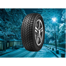 Delinte 175/70 r14 Winter WD1 88T
