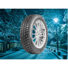 Delinte 195/55 r16 Winter WD52 91T Шипы