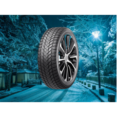 Автошина PACE 255/45R19 100H ANTARCTICA 5+