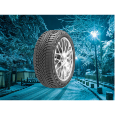 Maxxis 225/40 r18 WP6 Premitra Snow 92V
