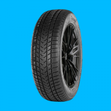 Автошина GRIPMAX 205/45R17 88V XL SUREGRIP EWINTER