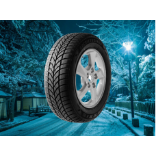 Maxxis 145/65 r15 WP-05 Arctic Trekker 72T